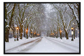 Gerahmter Kunstdruck Verschneite Allee