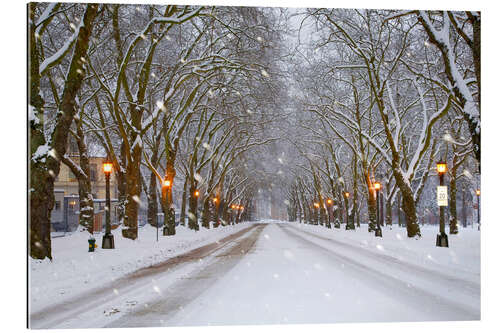 Gallery print Snowy avenue