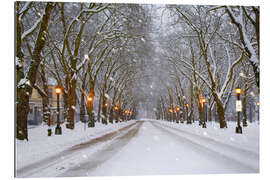 Gallery print Snowy avenue