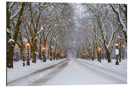 Magnettafel Verschneite Allee