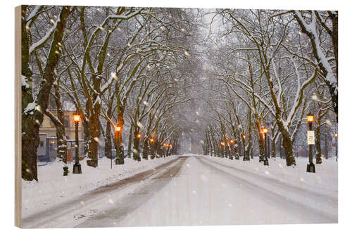 Wood print Snowy avenue