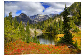 Alubild Herbstliche Berglandschaft