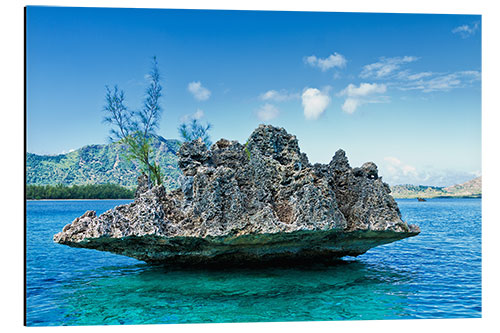 Aluminium print Coral Rock, Mauritius