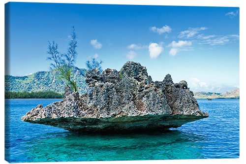 Lienzo Coral Rock, Mauritius