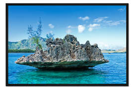 Gerahmter Kunstdruck Korallen Felsen, Mauritius