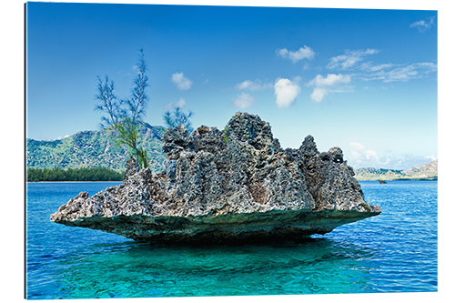 Quadro em plexi-alumínio Coral Rock, Mauritius