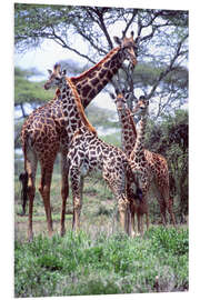 Hartschaumbild Giraffen Familie