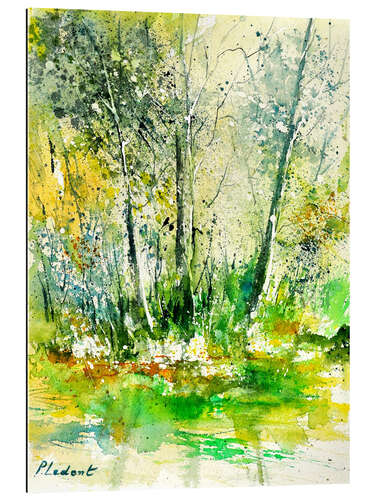 Gallery print Summer forest