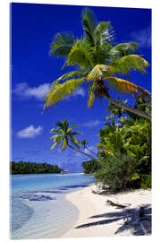 Akrylglastavla Palm trees and beach on Tapuaetai