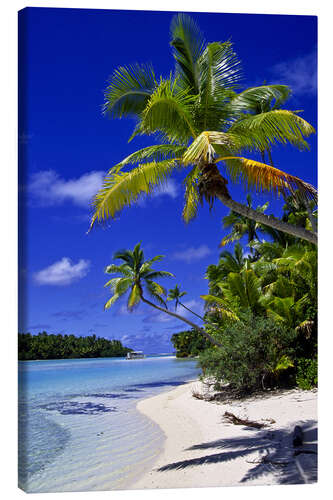 Tableau sur toile Palmiers et plage sur Tapuaetai