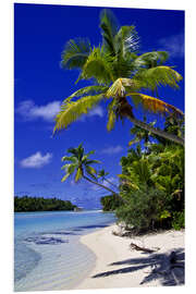 Foam board print Palm trees and beach on Tapuaetai