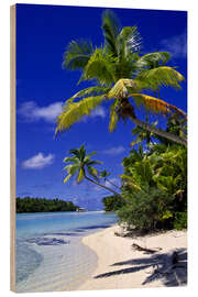 Obraz na drewnie Palm trees and beach on Tapuaetai