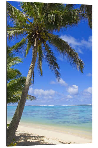 Aluminium print Palm trees on the beach