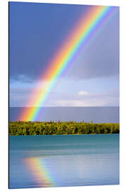 Aluminiumsbilde Rainbow on Lake Naknek