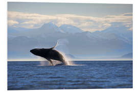 Foam board print Humpback whale jumps out of water