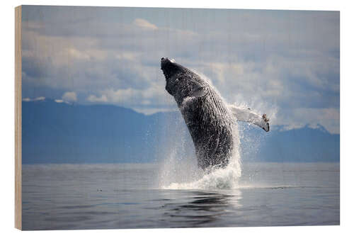 Tableau en bois Baleine à bosse dans le saut