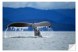 Självhäftande poster Fin of a humpback whale - Paul Souders