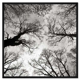 Gerahmter Kunstdruck Meditative Kraft der Bäume