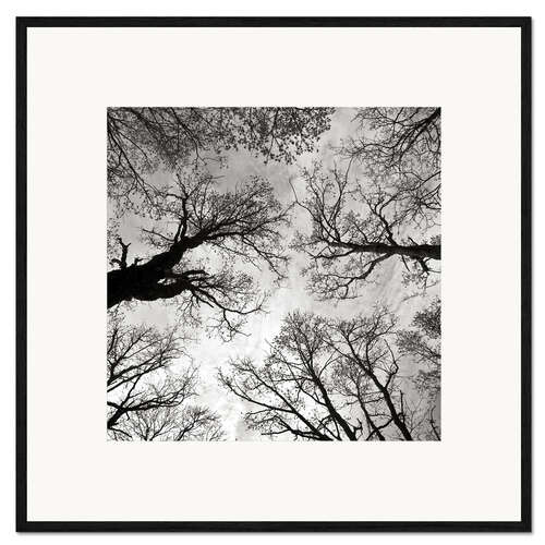 Kehystetty taidepainatus Meditative power of trees