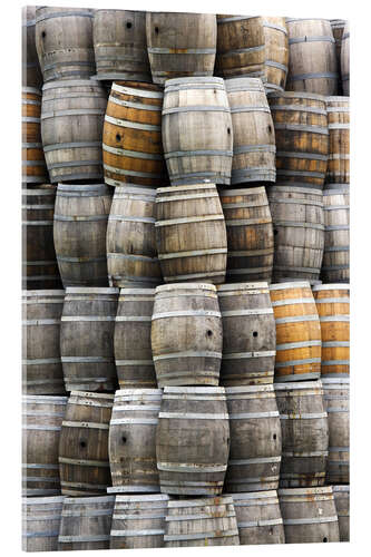 Quadro em acrílico Barris de vinho