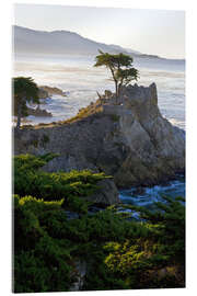 Akryylilasitaulu Lone cypress in California