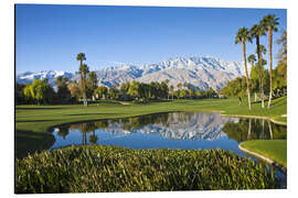 Quadro em alumínio Campo de golfe em Palm Springs - Walter Bibikow