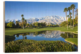 Wood print Golf course in Palm Springs - Walter Bibikow