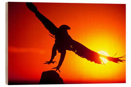 Trebilde A golden eagle flies at dawn