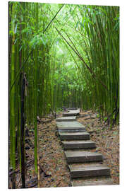 Aluminium print Wooden path in the bamboo forest