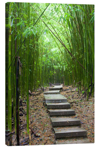 Canvastavla Wooden path in the bamboo forest