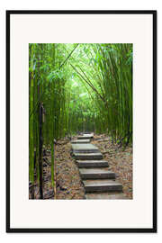 Gerahmter Kunstdruck Holzpfad im Bambuswald