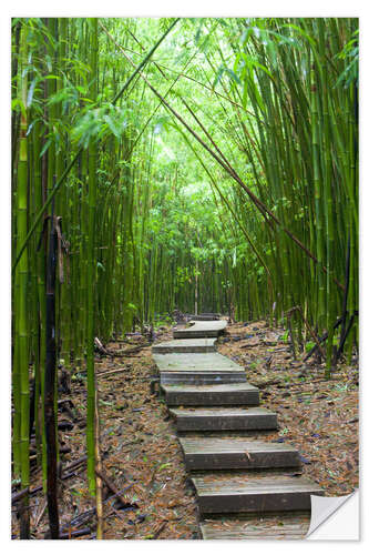 Selvklebende plakat Wooden path in the bamboo forest