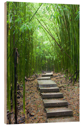 Obraz na drewnie Wooden path in the bamboo forest