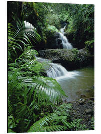 Aluminium print Waterfall in Hawaii