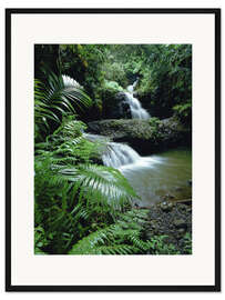 Gerahmter Kunstdruck Wasserfall auf Hawaii