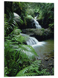 Gallery print Waterfall in Hawaii