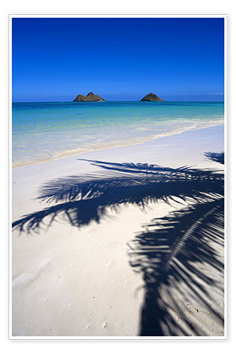 Poster Palm shadow on Lanikai Beach