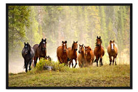 Gerahmter Kunstdruck Pferde auf einer Waldlichtung
