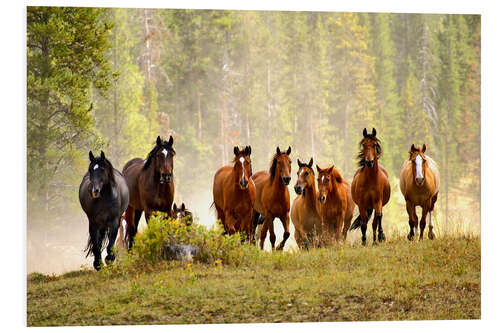 Foam board print Horses on a hill