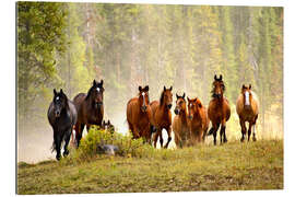 Gallery print Horses on a hill