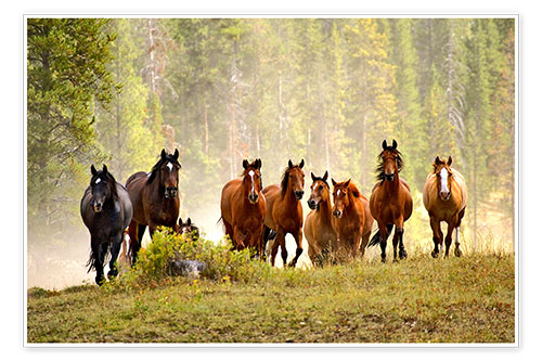Poster Pferde auf einer Waldlichtung