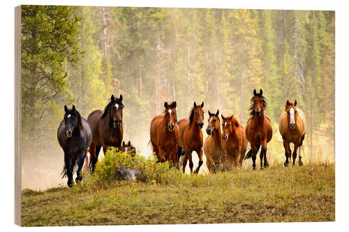 Wood print Horses on a hill