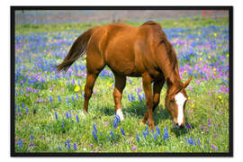 Gerahmter Kunstdruck Pferd auf einer Blumenwiese