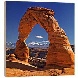 Obraz na drewnie Arches National Park in Utah