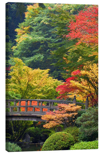 Quadro em tela Ponte no jardim japonês