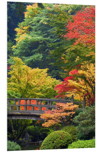 Foam board print Bridge in the Japanese garden