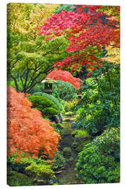 Canvas print Maple in the Japanese garden