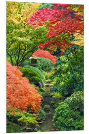 Foam board print Maple in the Japanese garden