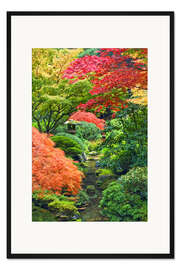 Gerahmter Kunstdruck Ahorn im japanischen Garten