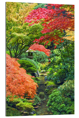 Tableau en plexi-alu Érables dans le jardin japonais